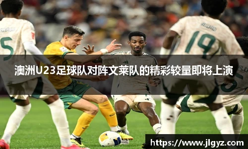 xc体育官网入口