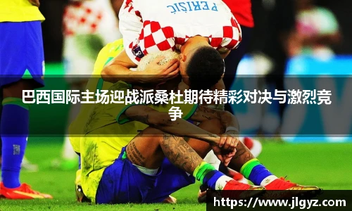 xc体育最新地址