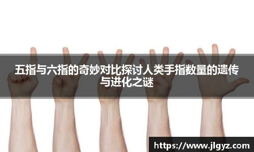 xc体育官网入口