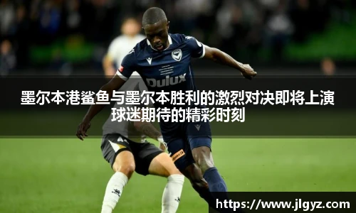 xc体育官网版